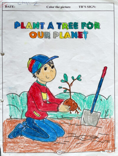 Plant a Tree for our Planet