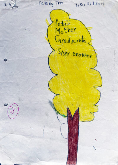 Family Tree